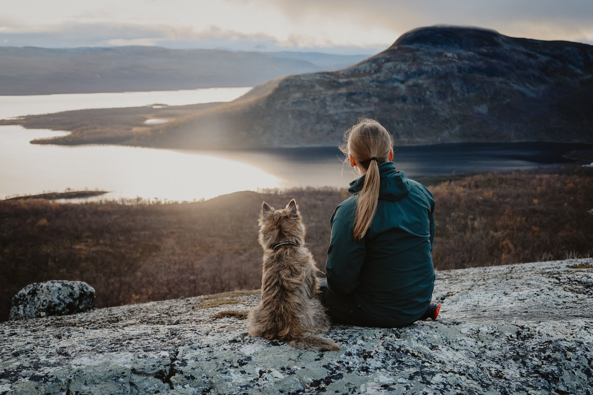 Nainen istuu kalliolla terrierinsä kanssa katsellen Kilpisjärven taakse laskevaa ilta-aurinkoa syksyisenä päivänä
