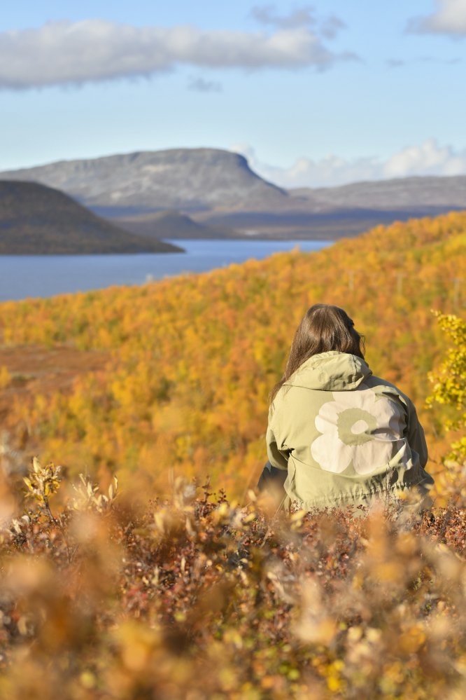 Muotkatakan Leutsuvaaralta löytyy parhaat kuvauspaikat kohti syksyistä Saanaa ja Kilpisjärveä.