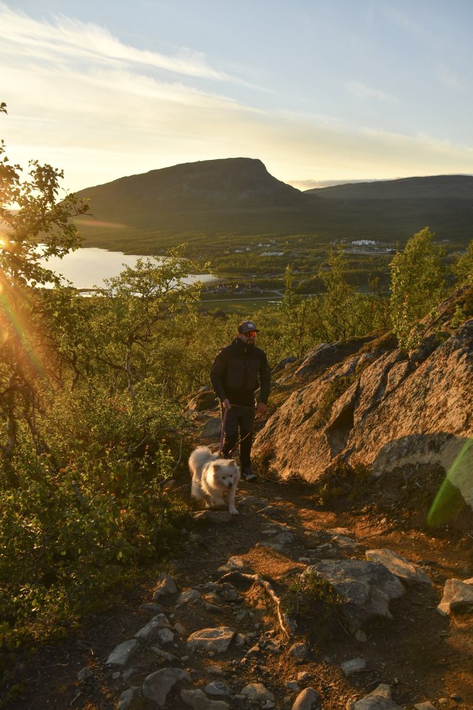 Mies aurinkolaseissa ja valkoinen lapinkoira nousevat kivikkoista polkua pitkin kohti Salmivaaran huippua. Aurinko laskee miehen selän takana maiseman avautuessa Saanatunturia kohti.