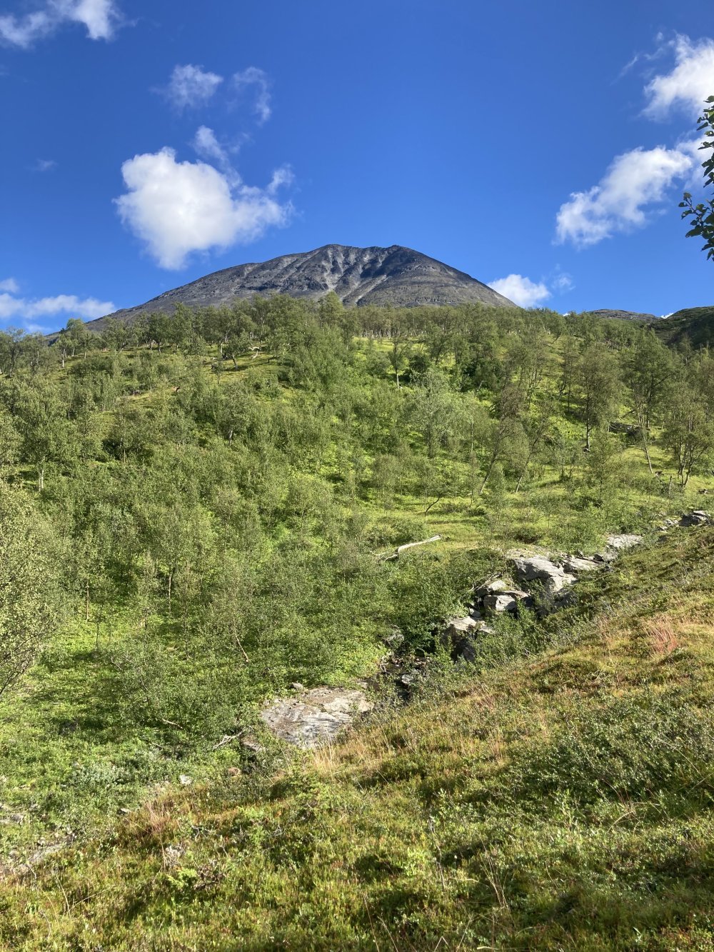 Vehreää laaksoa Barraksen takana