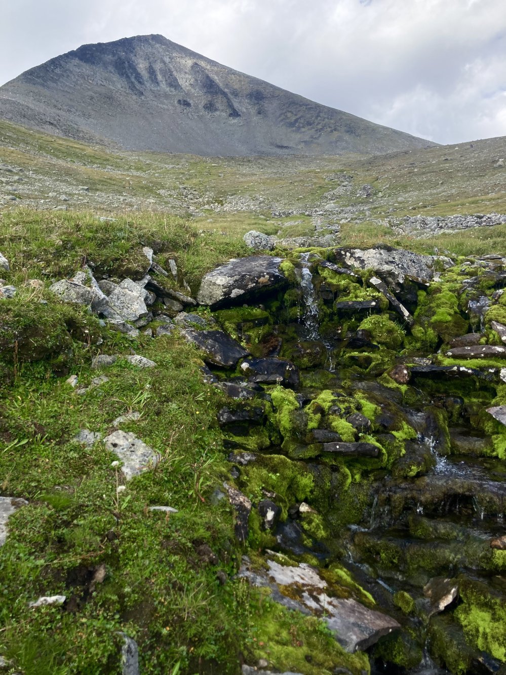 Huippu näkyvissä, hainevä ei läheltä katsottuna näytä ihan samalta kuin Kilpisjärveltä.