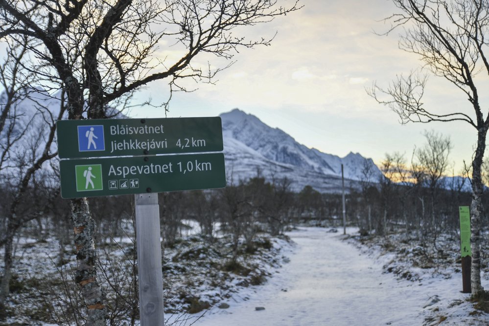 Opastekyltti Blåisvatnetille johtavan vaellusreitin alussa