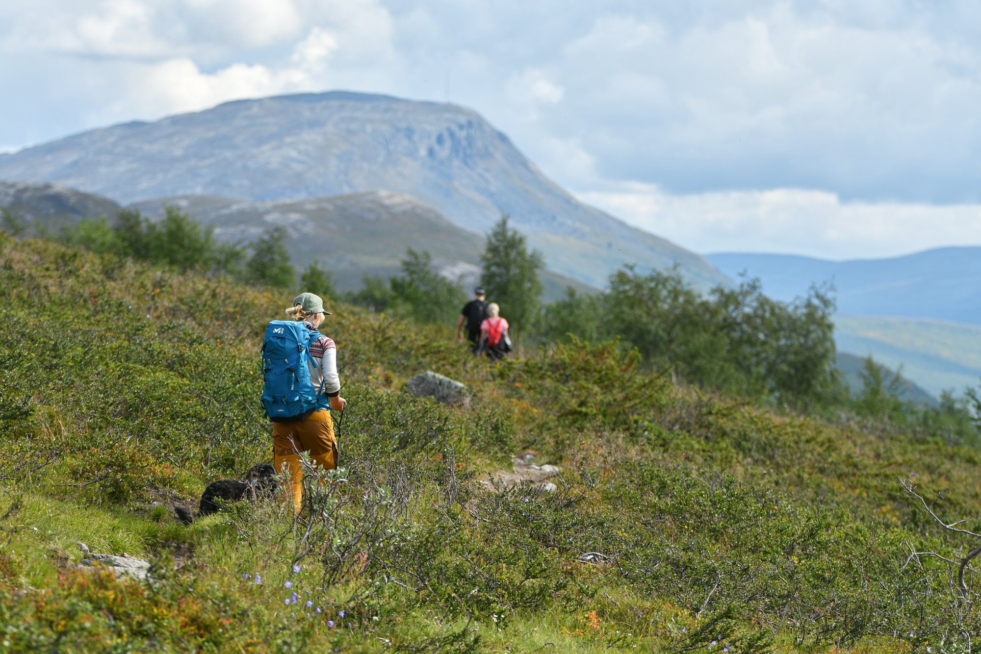 Mallan luonnonpuiston polkua kävelijöineen Kilpisjärvellä