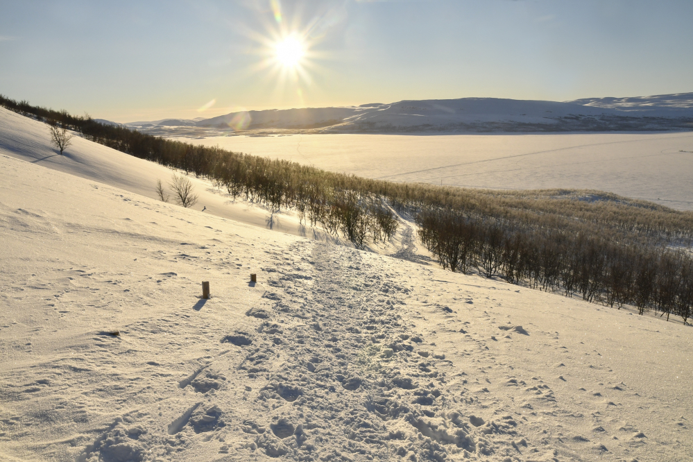 Saanalle johtavaa lumista polkua kohti tunturikoivikkoa ja auringossa loistaa jäistä Kilpisjärveä
