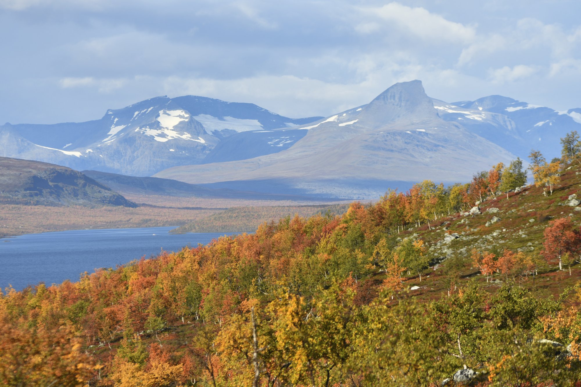 Ruskan värjäämää tunturikoivikkoa etualalla, taustalla Norjan jylhä Barras, jonka takana olevilla vuorilla on jo lunta.
