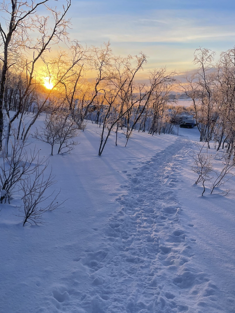 Luminen polku aamuauringossa
