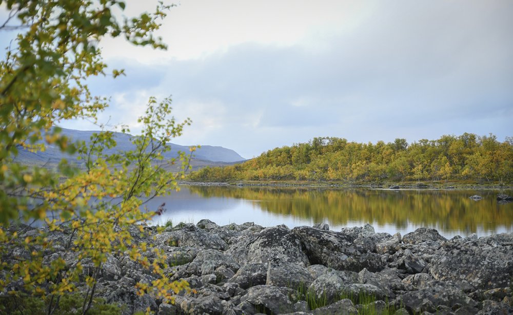 Siilasjärven ruskaa