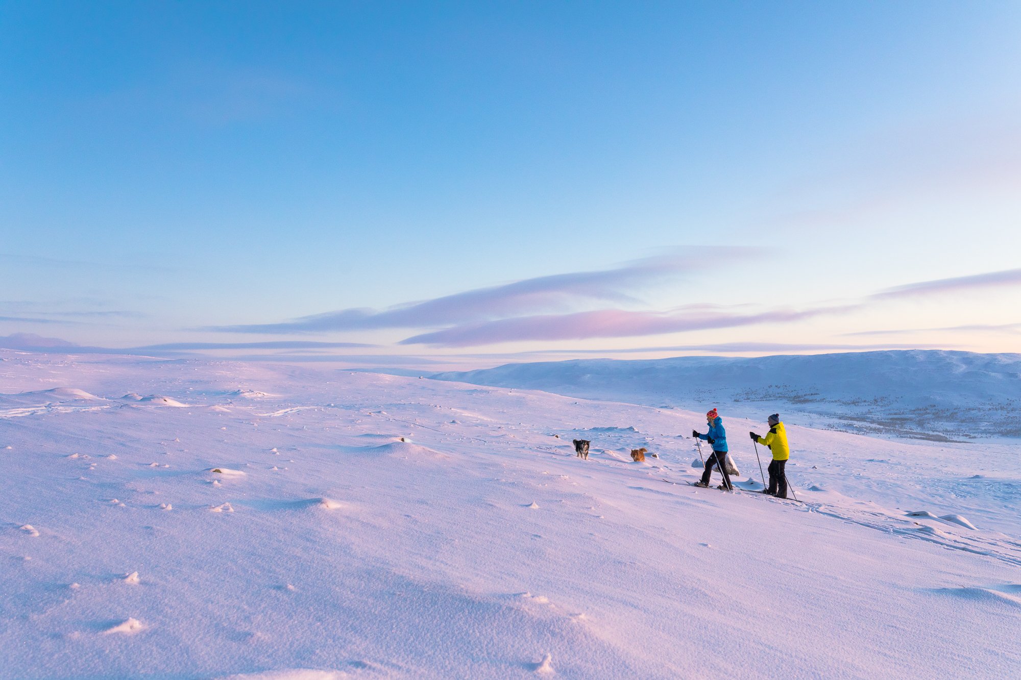 Mies ja nainen hiihtävät pastellinvärisessä tunturimaisemassa Kilpisjärven Retkeilykeskukselta vuokratuilla tunturisuksilla.