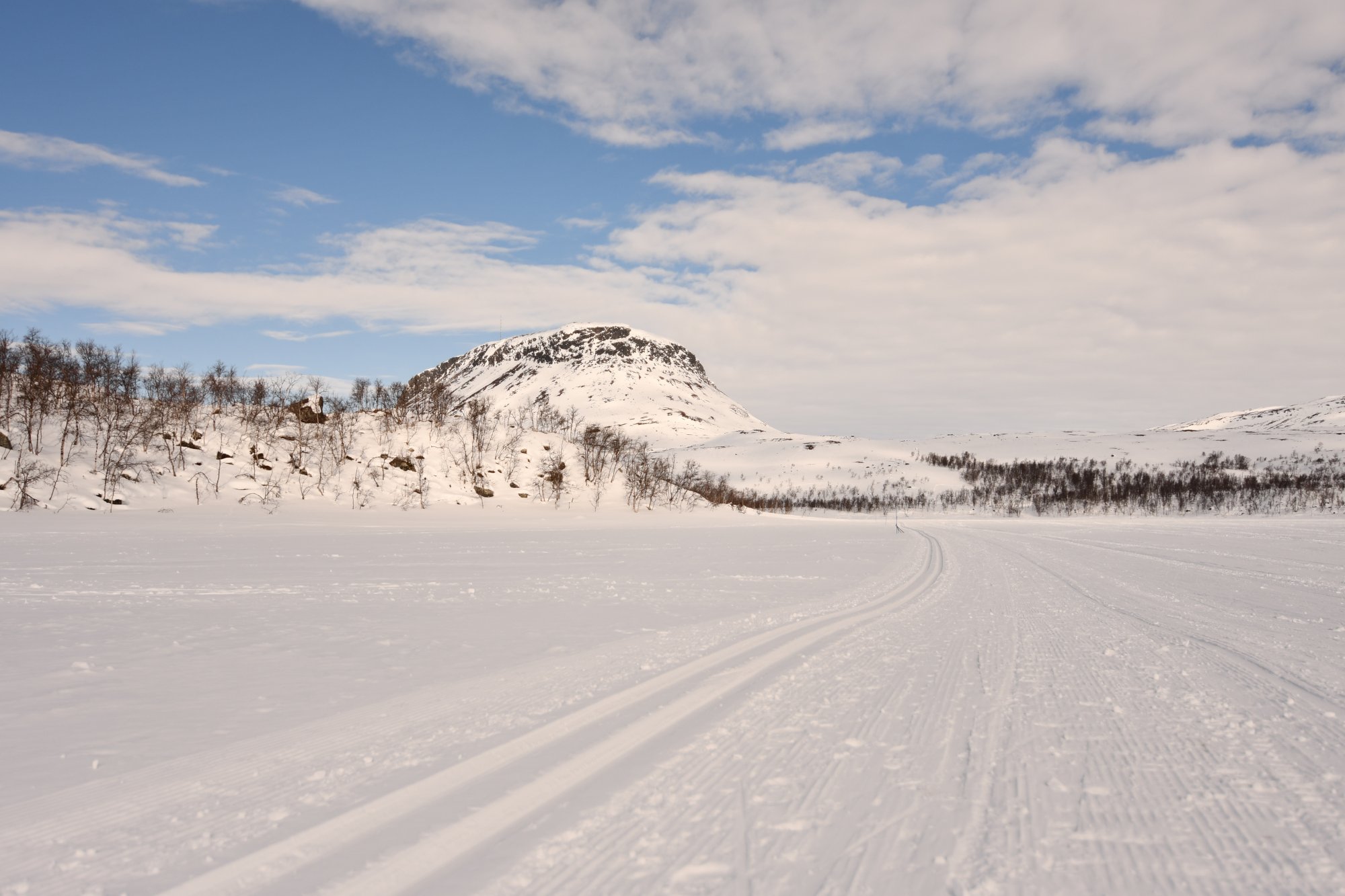 Ajettua latua Kilpisjärvellä Tsahkaljärven jäällä taustalla sininen taivas sekä Saanatunturi